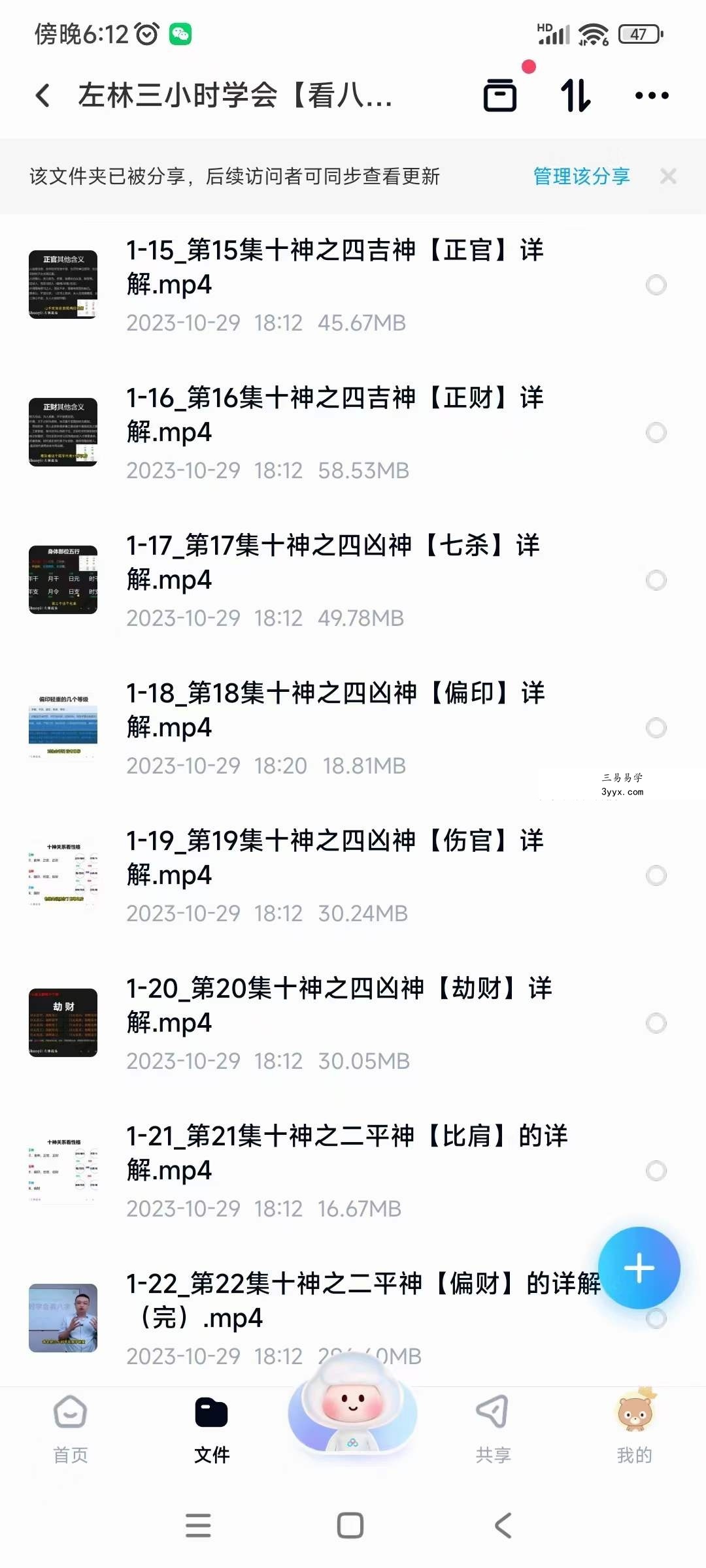左林三小时学会【看八字】22集（全集） 资料图片