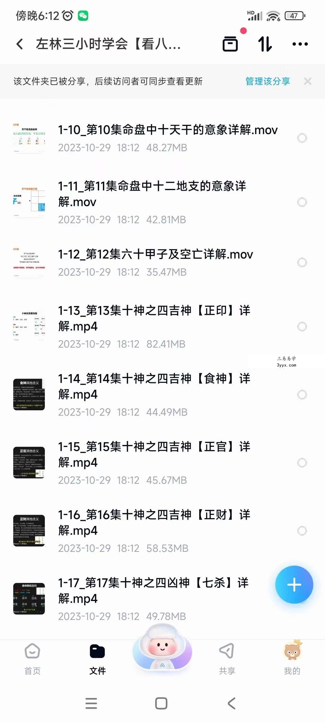 左林三小时学会【看八字】22集（全集） 资料图片