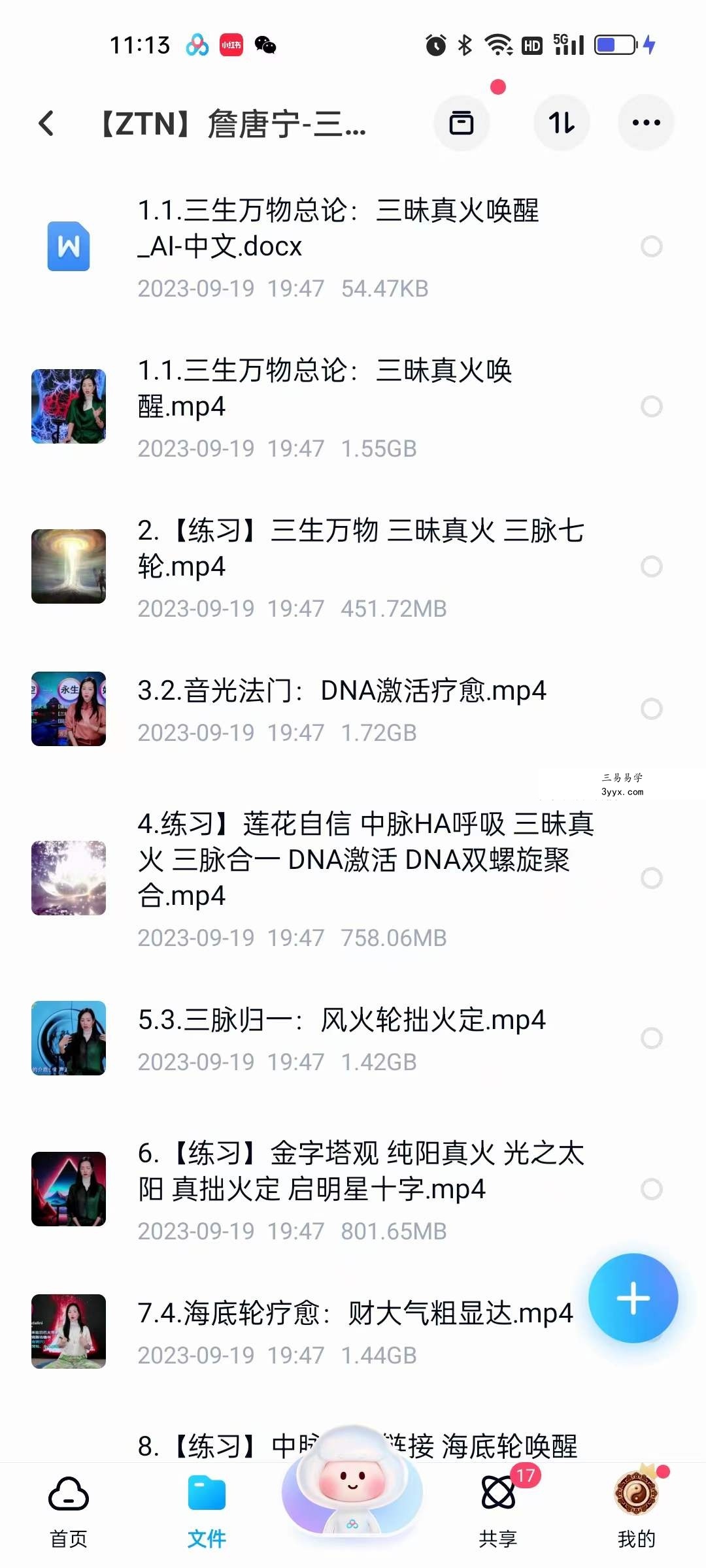 詹唐宁 三昧御光三昧真火19集 资料图片