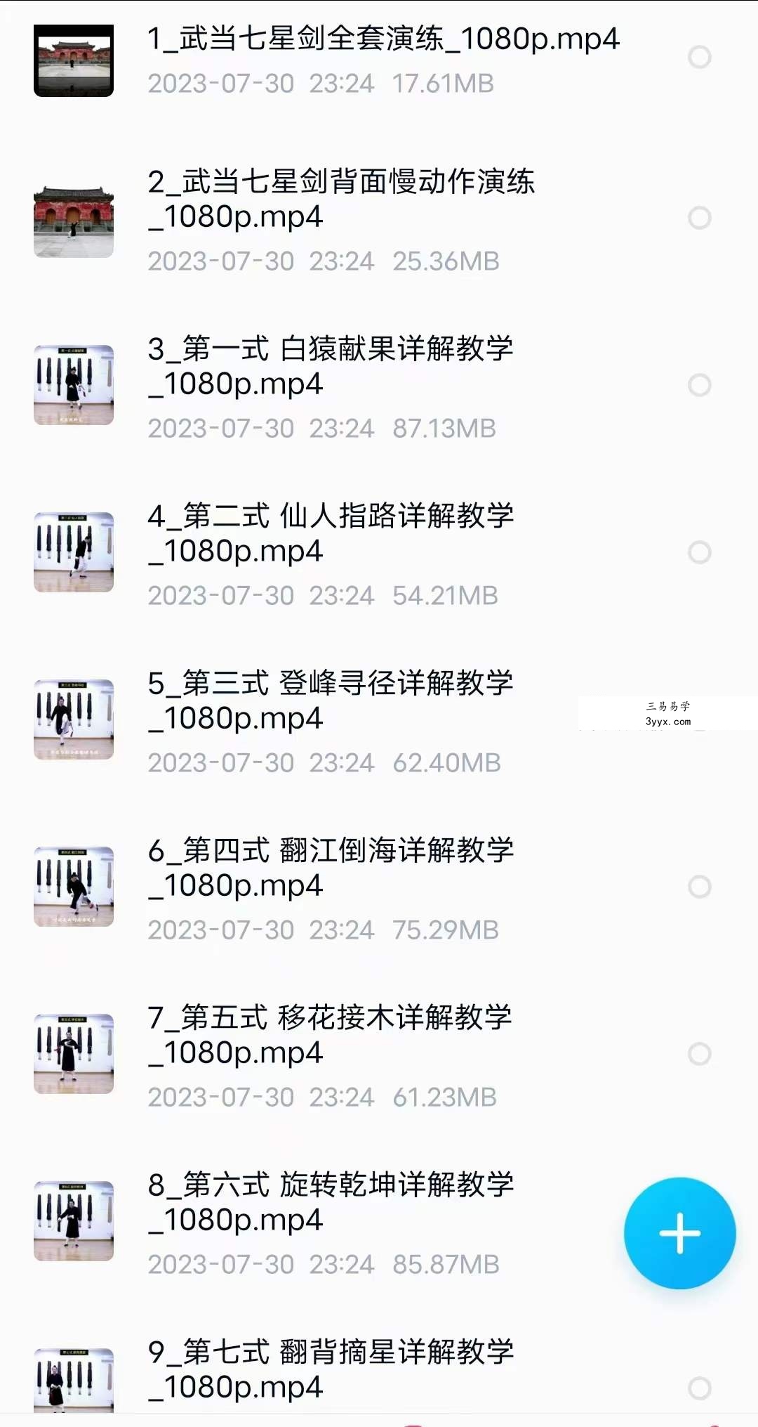 武当云鹤 武当七星剑全套详解教学30集 资料图片