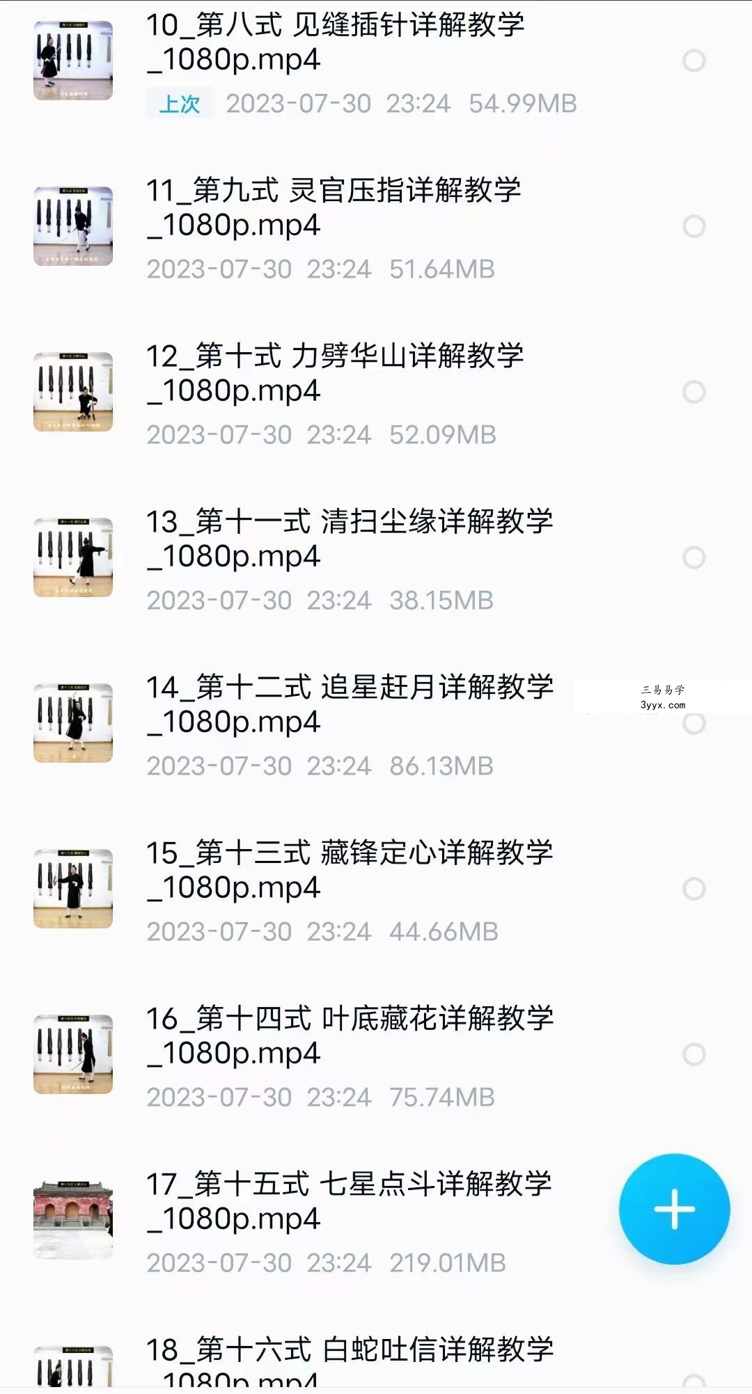 武当云鹤 武当七星剑全套详解教学30集 资料图片