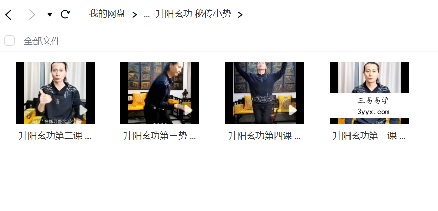洞玄传承松岩真人《升阳玄功》小势+大势 视频8集 资料图片