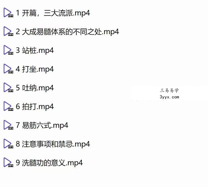 王道 易筋洗髓功 全9讲视频课 资料图片