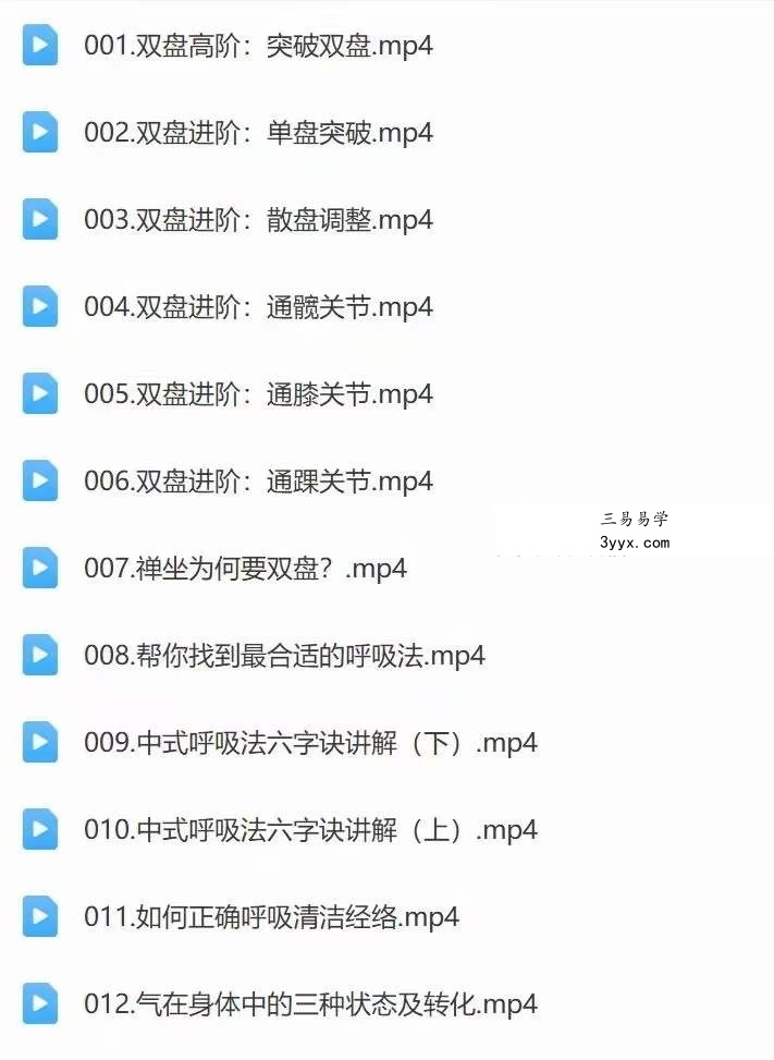 迷罗 14天养元筑基进阶训练营 全24讲视频课 资料图片