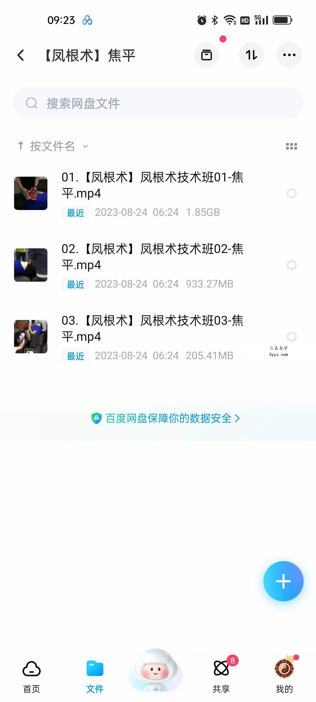 2023年 焦平龙根术凤根术 资料图片