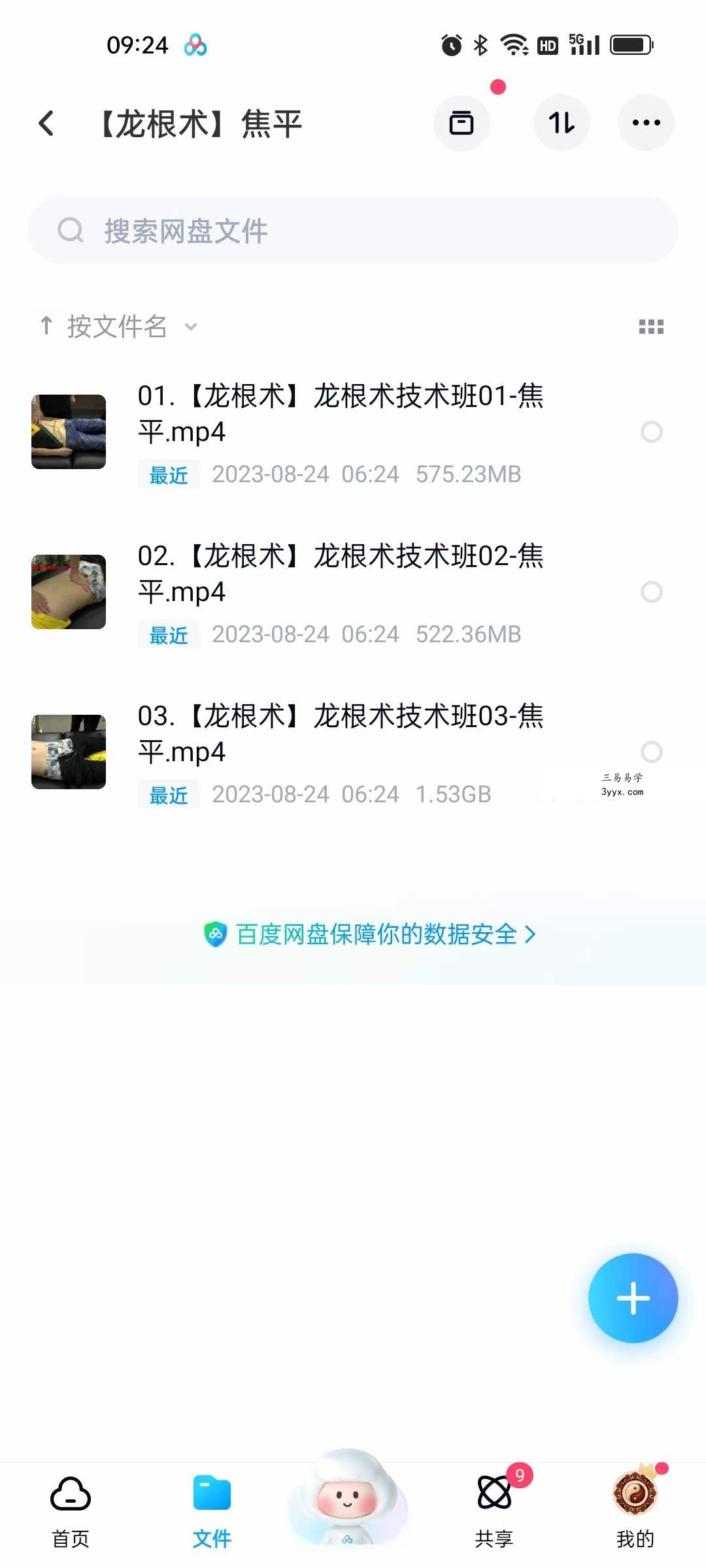 2023年 焦平龙根术凤根术 资料图片