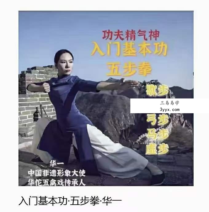 华一老师三合一全套 五禽戏 五步拳 资料图片