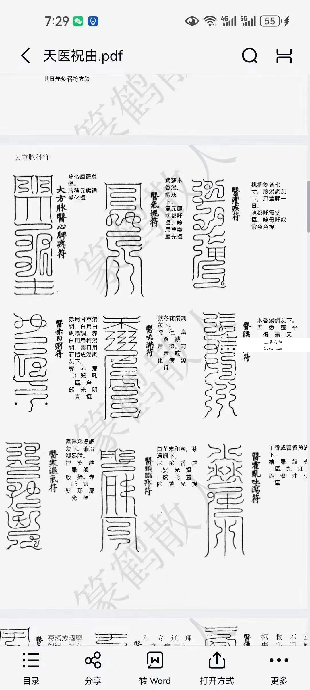 篆鹤散人天医祝由文档 资料图片