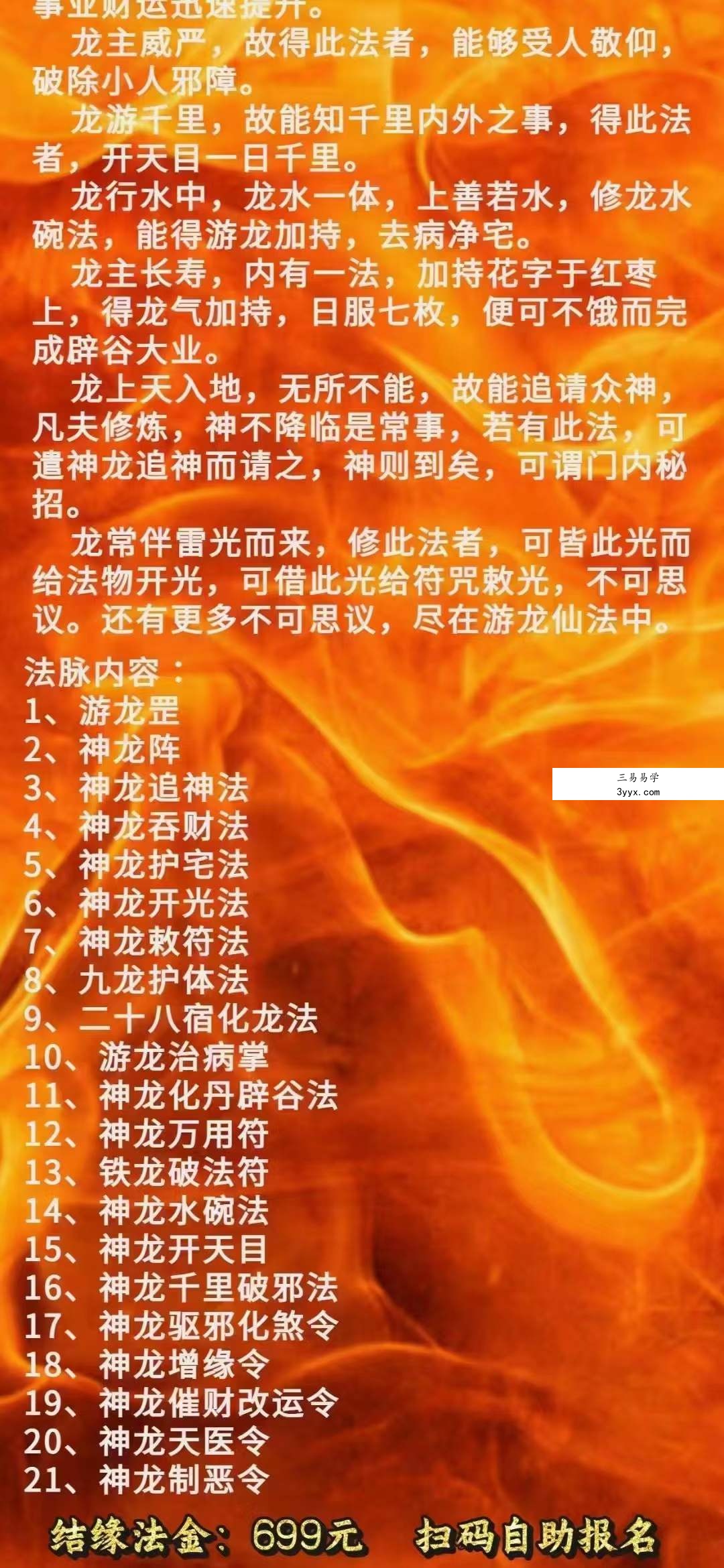王道帧 四海游龙法龙主富贵(2小时视频教学) 资料图片