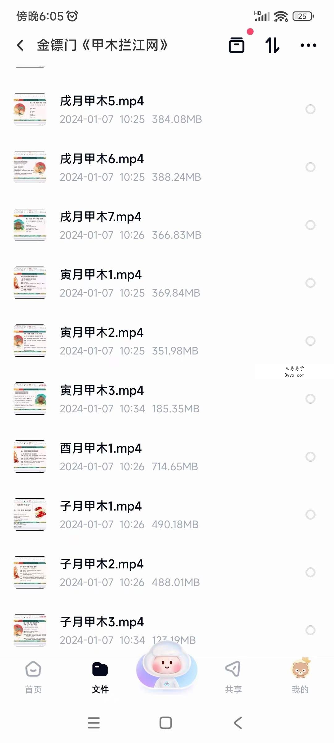 金镖门《甲木拦江网》29集 资料图片