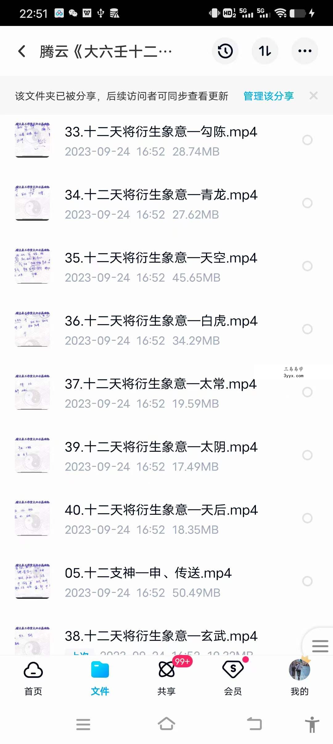 腾云《大六壬十二支神,天将及延伸象意》40集 资料图片