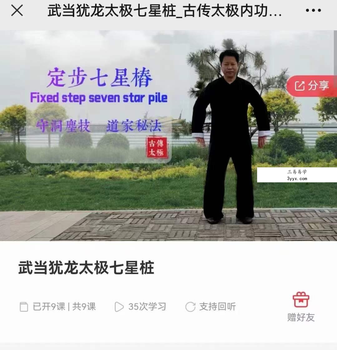 武当犹龙太极七星桩9集 资料图片