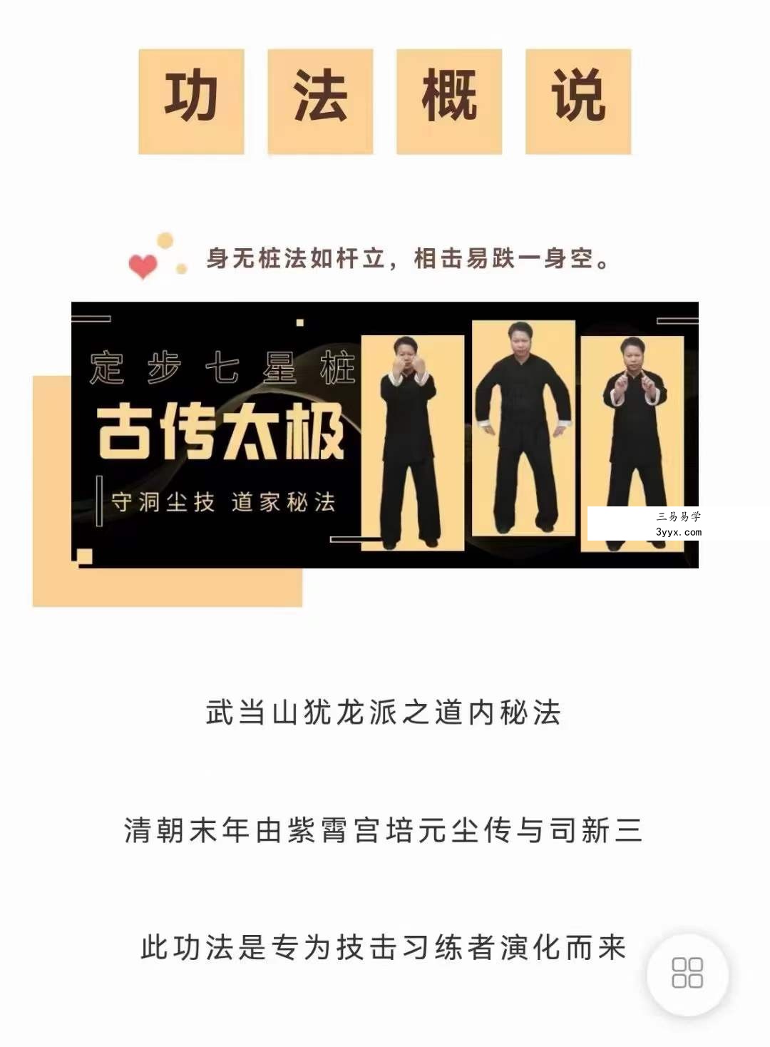 武当犹龙太极七星桩9集 资料图片