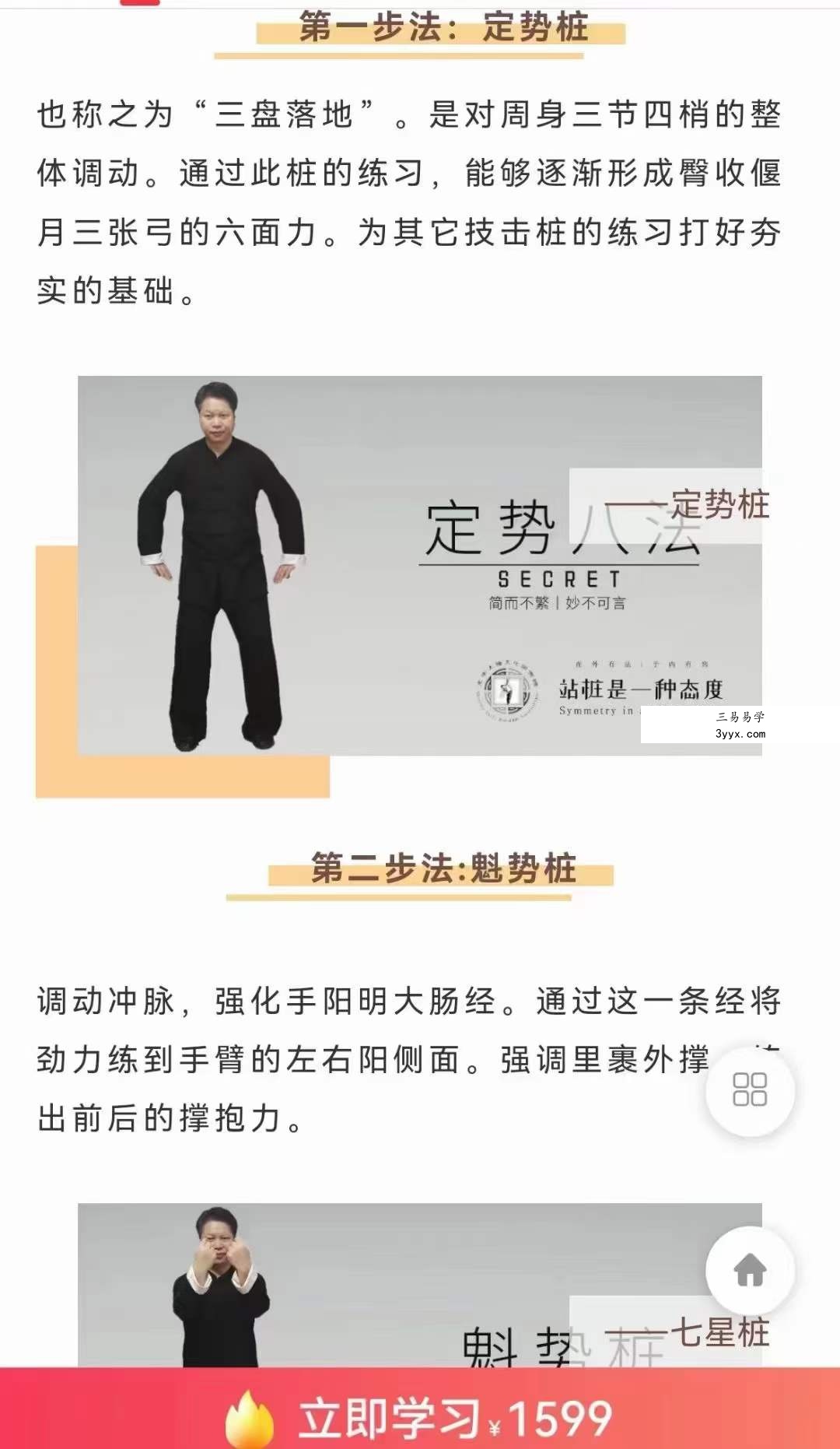 武当犹龙太极七星桩9集 资料图片