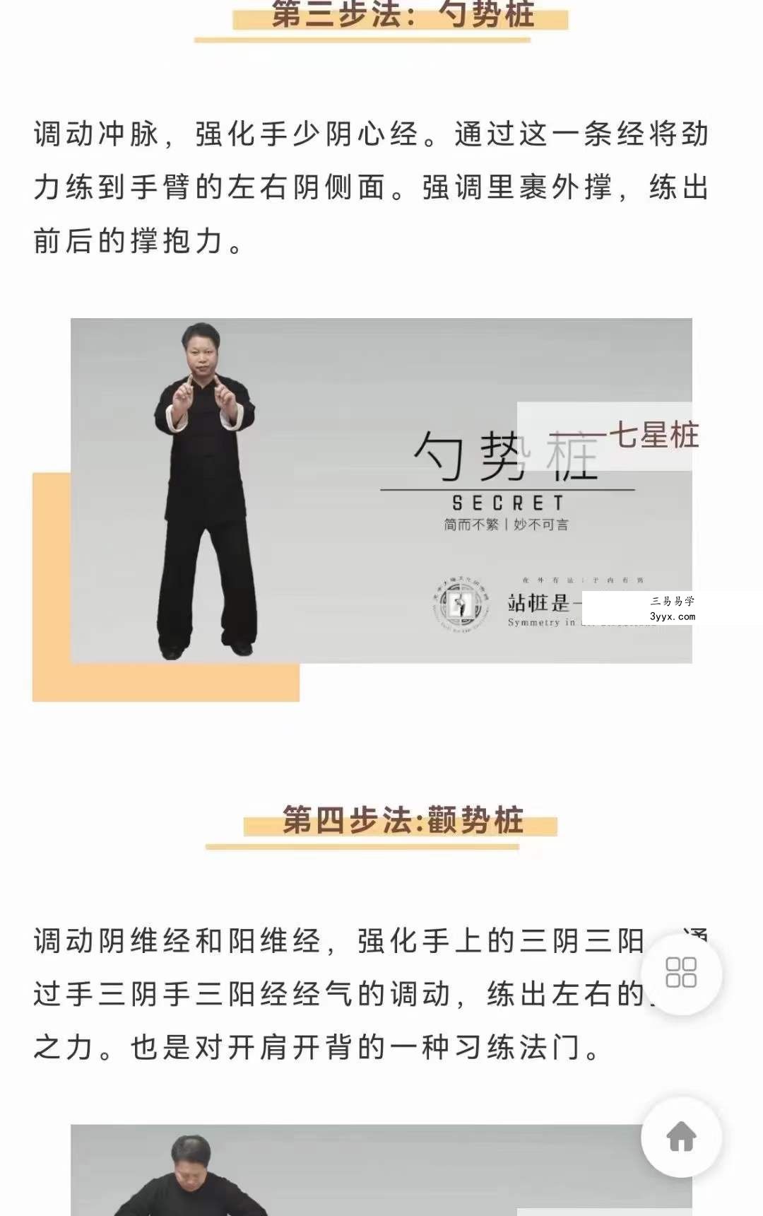 武当犹龙太极七星桩9集 资料图片
