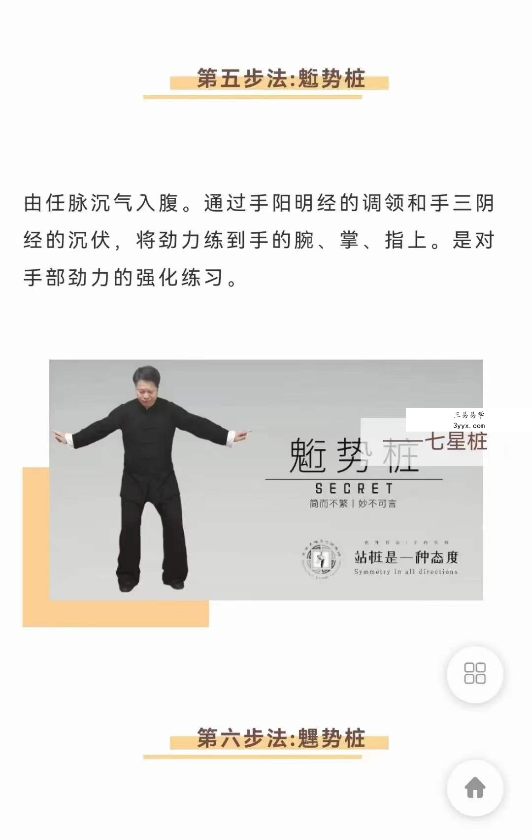 武当犹龙太极七星桩9集 资料图片