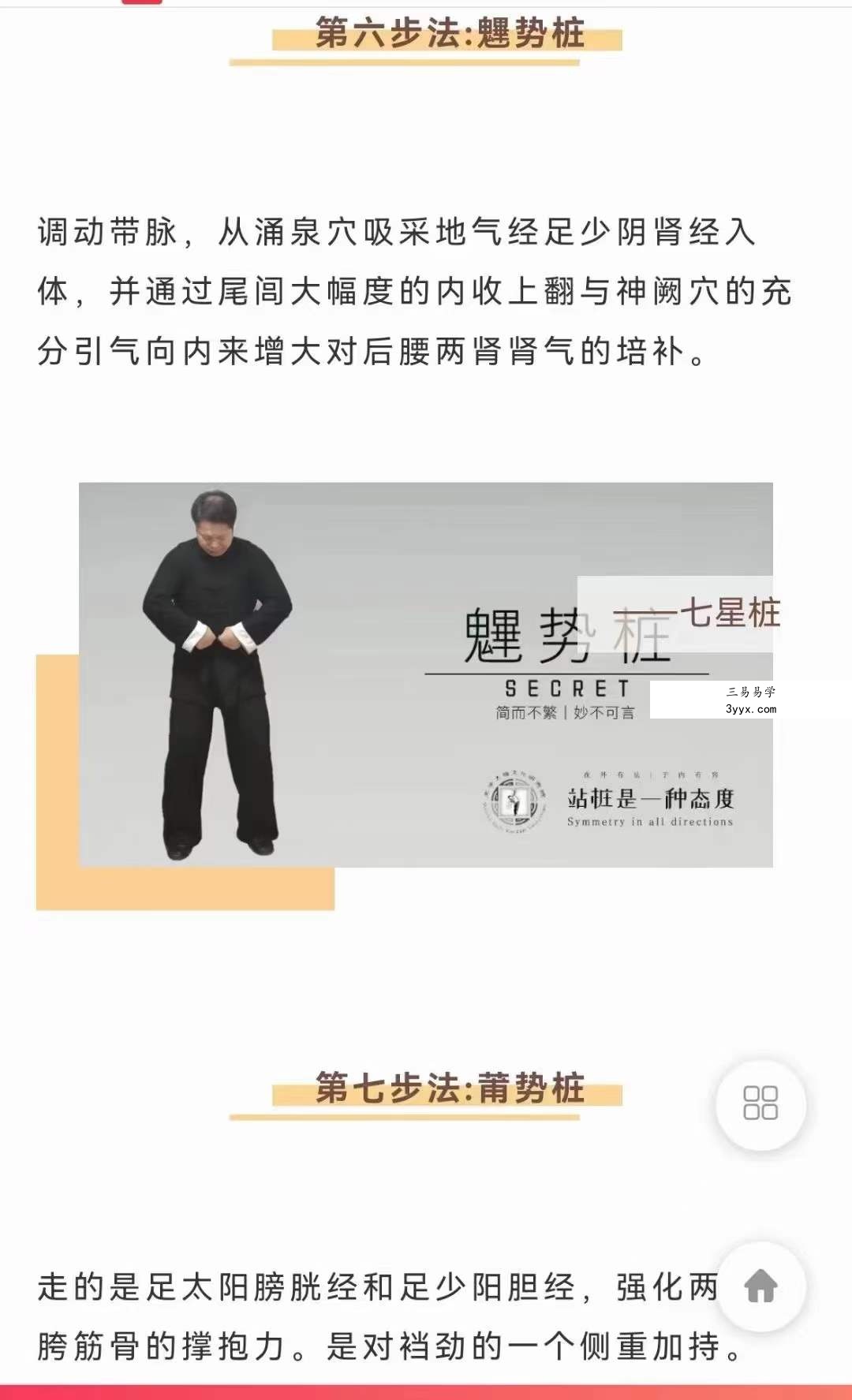 武当犹龙太极七星桩9集 资料图片