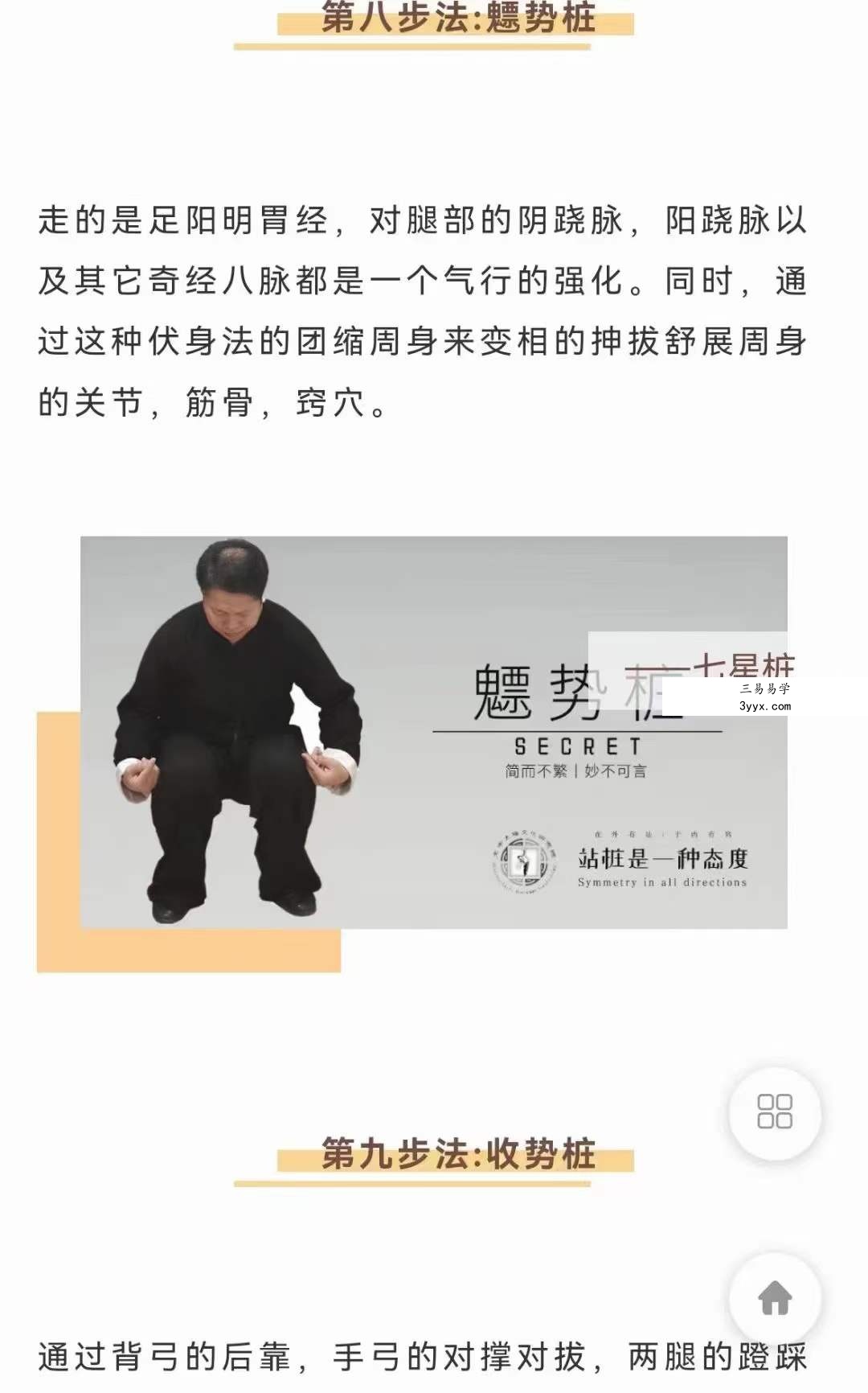 武当犹龙太极七星桩9集 资料图片