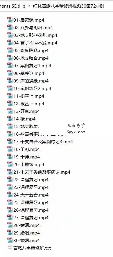 红林 盲派八字精修班回放30集 资料图片