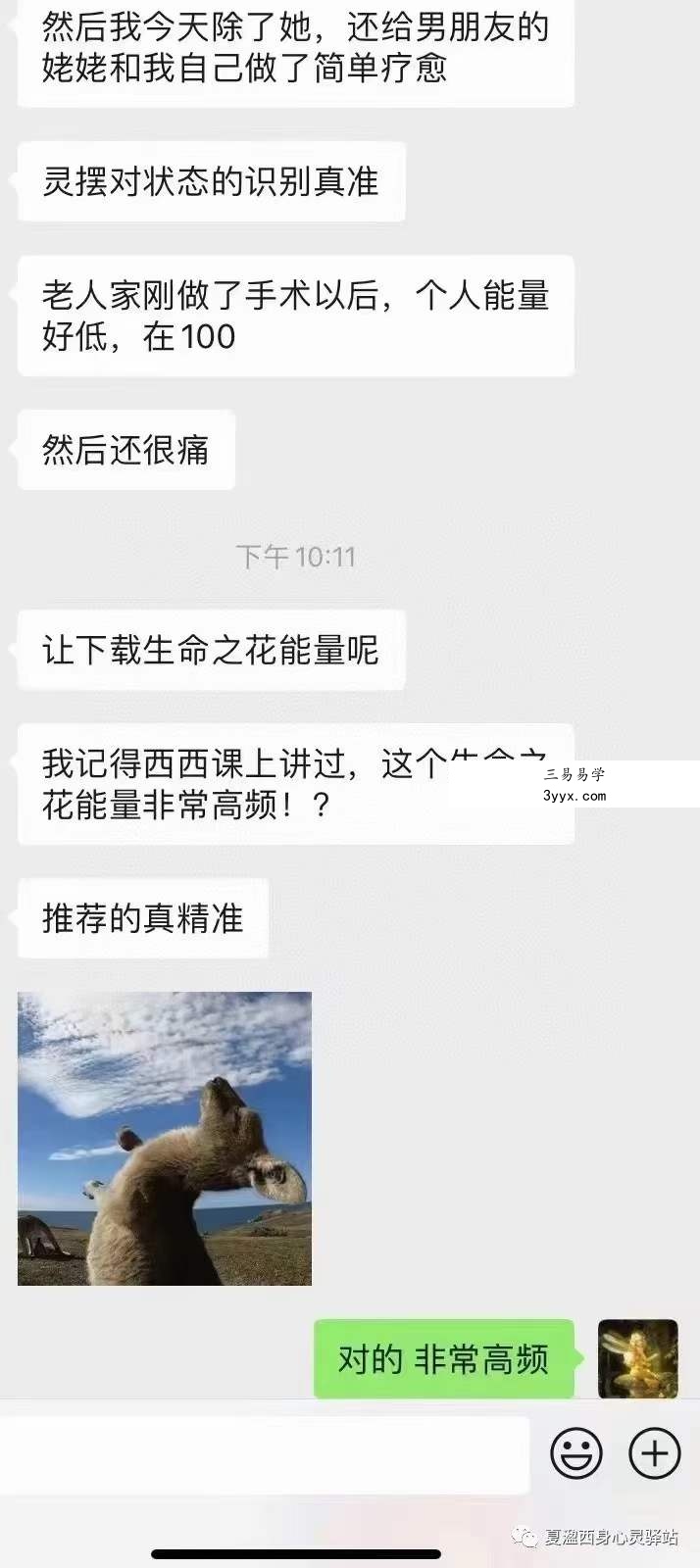 夏盈西 灵摆疗愈课程14集 资料图片