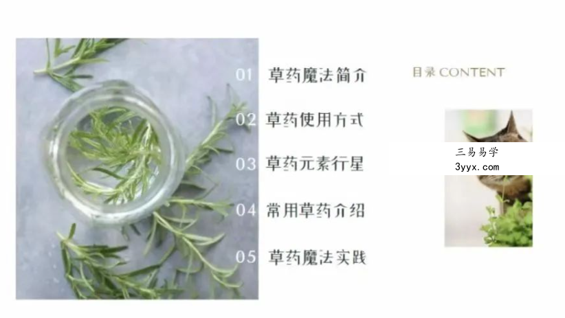 『草药魔法』milanu老师 魔法草药初阶课程 视频+录音文档 资料图片