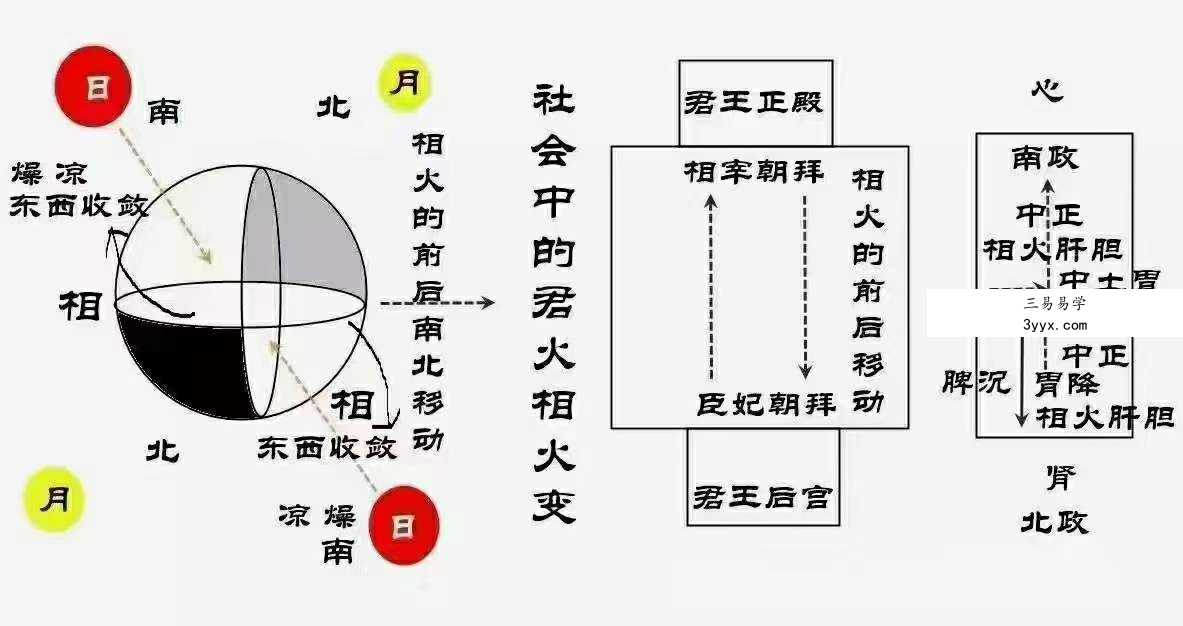 辛圣明 五运六气 南北政脉诊 伤寒论钳法(线上直播实战班) 资料图片