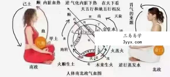 辛圣明 五运六气 南北政脉诊 伤寒论钳法(线上直播实战班) 资料图片