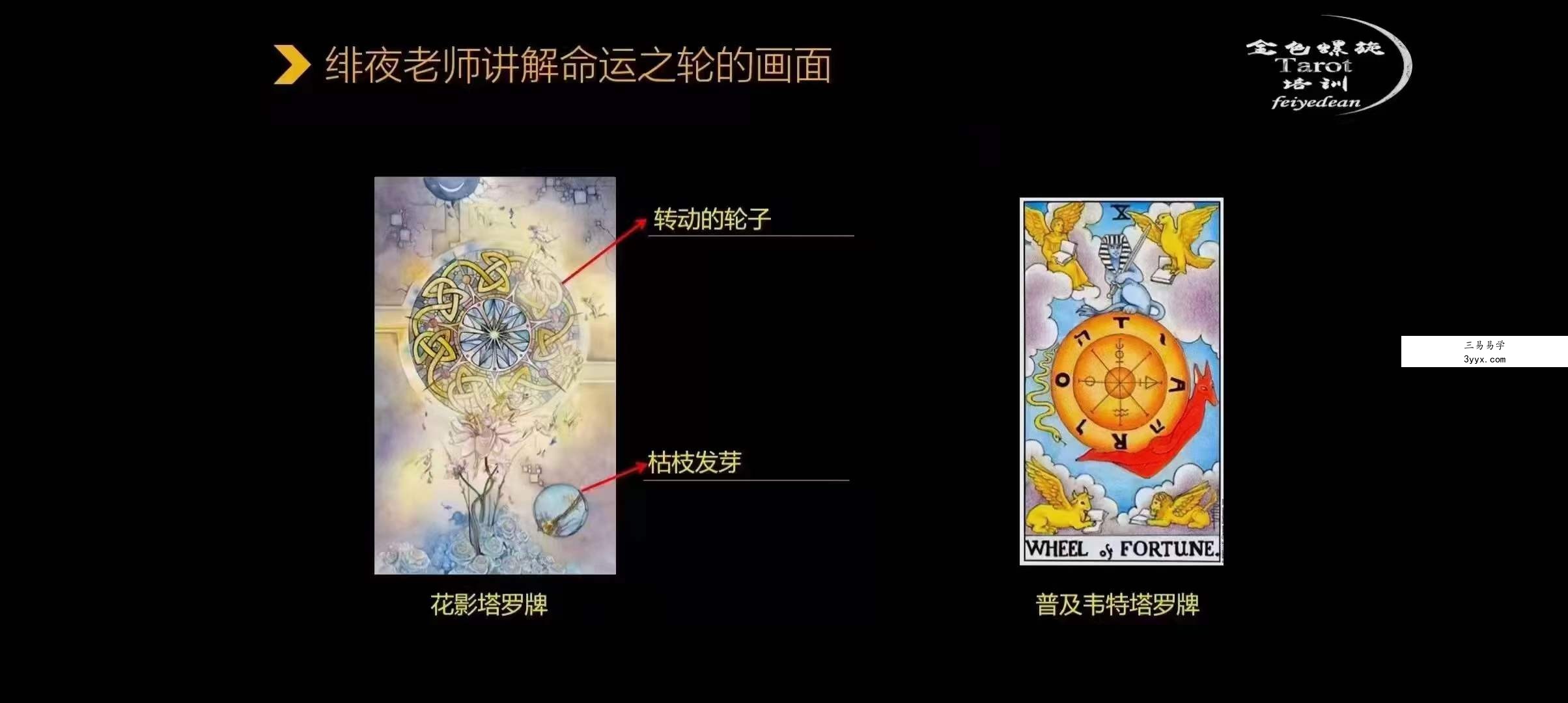 绯夜 花影塔罗牌占卜78张全解析 资料图片
