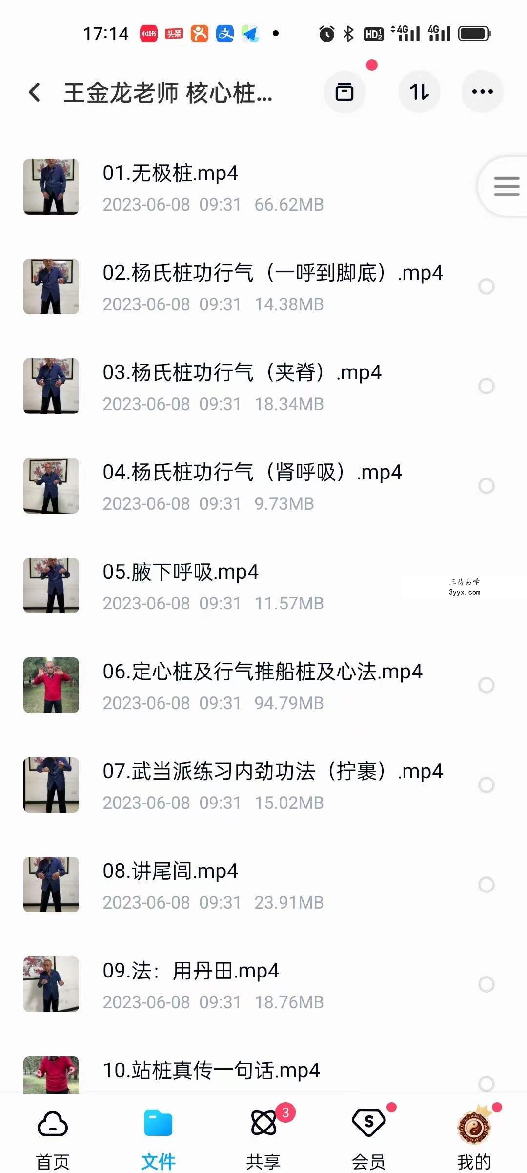 王金龙老师 核心桩功 教学视频 资料图片