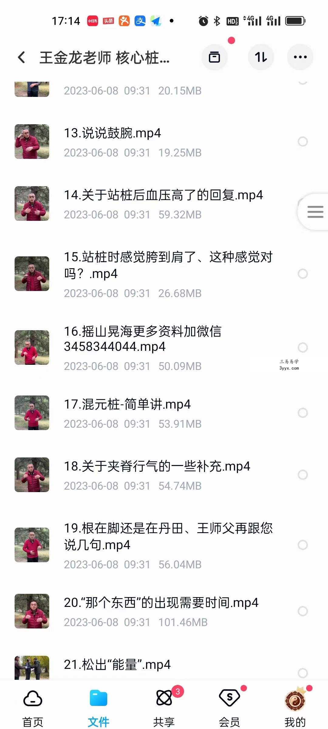 王金龙老师 核心桩功 教学视频 资料图片