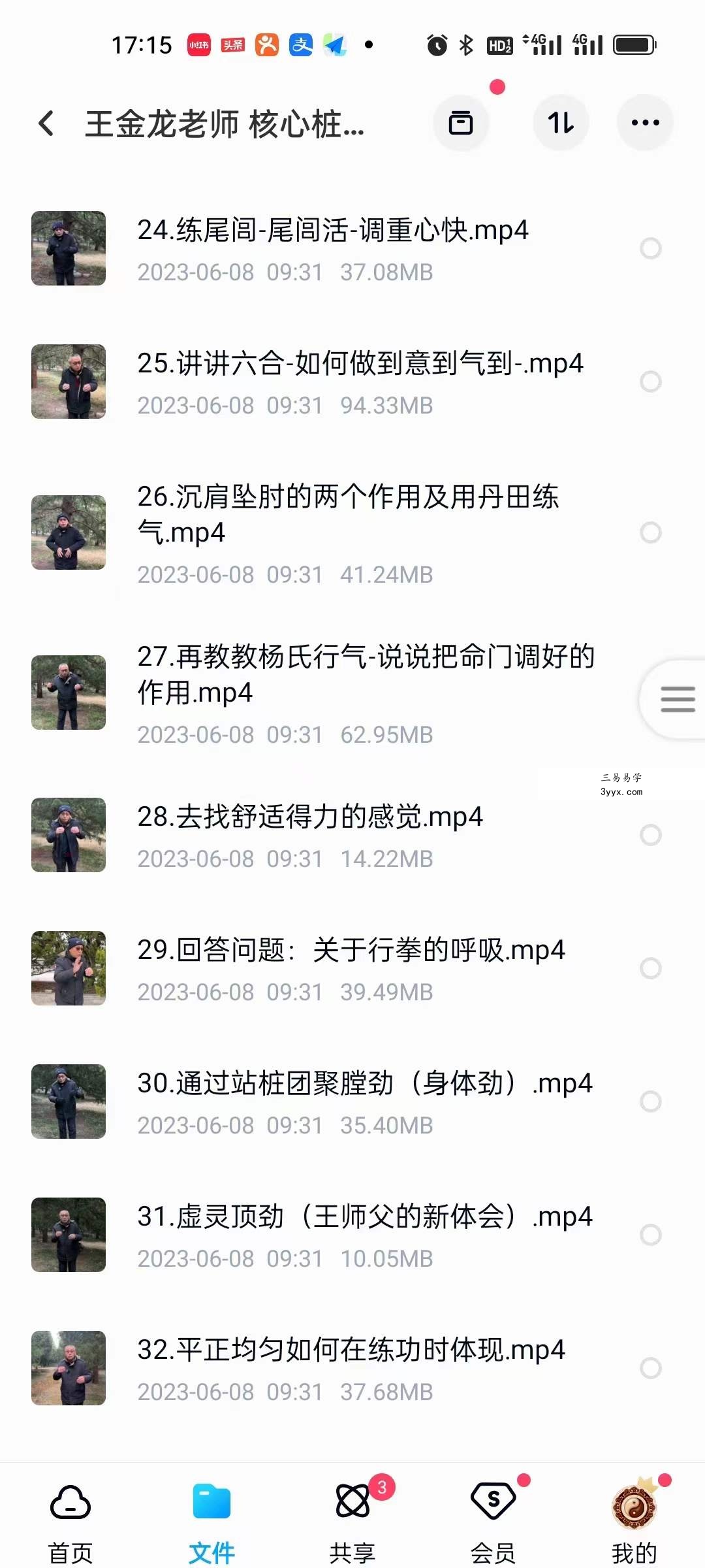 王金龙老师 核心桩功 教学视频 资料图片