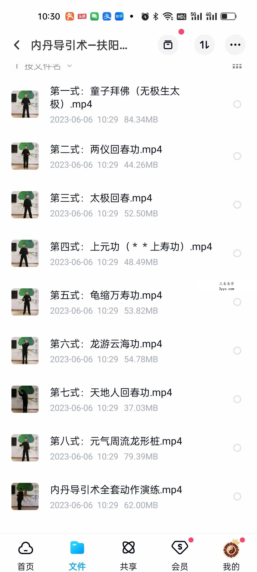 内丹导引术—扶阳聚气系列课程 10集 资料图片