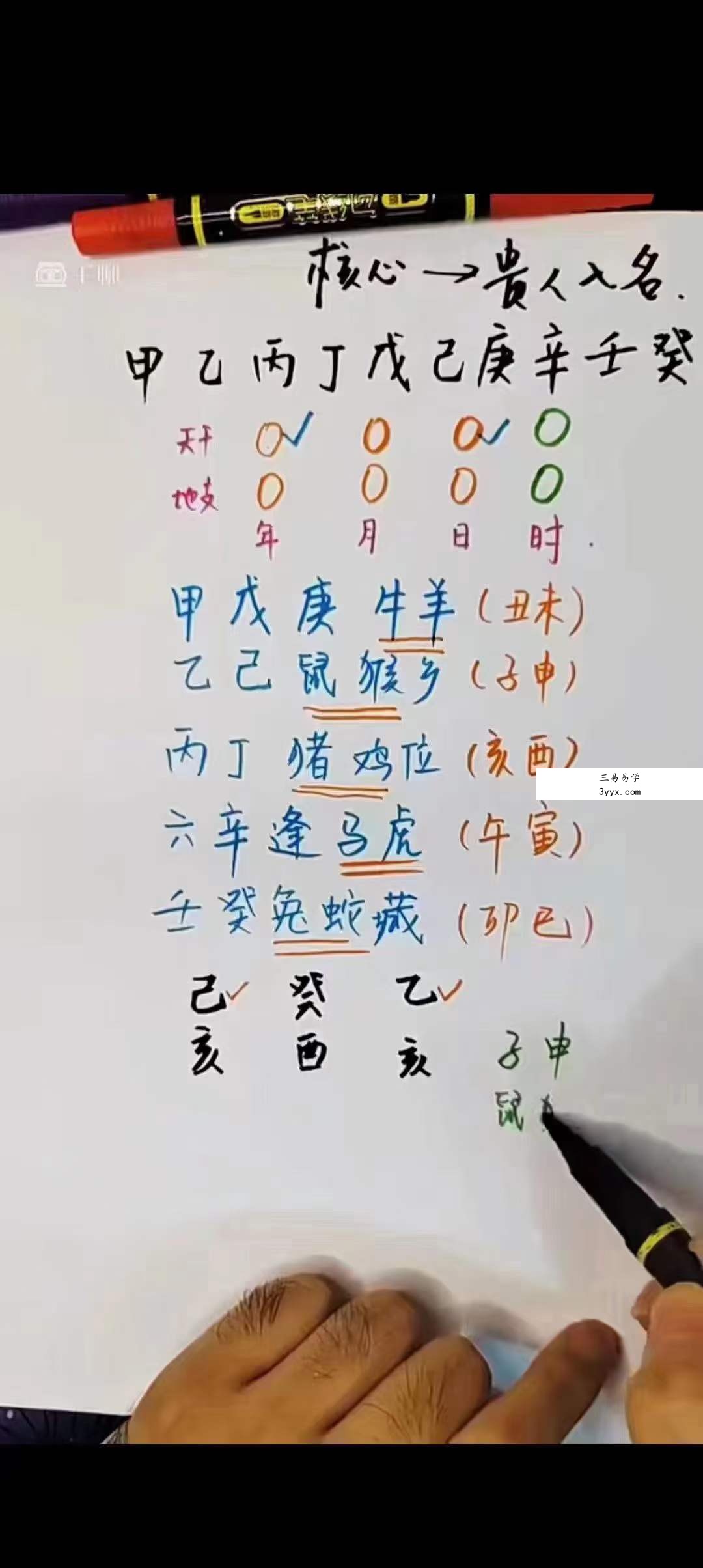 梅花五瓣开《姓名学》55集 资料图片