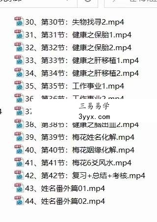 梅花五瓣开《梅花系统课》44集 资料图片