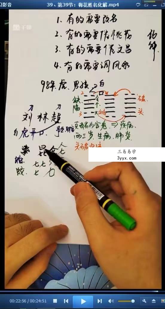 梅花五瓣开《梅花系统课》44集 资料图片