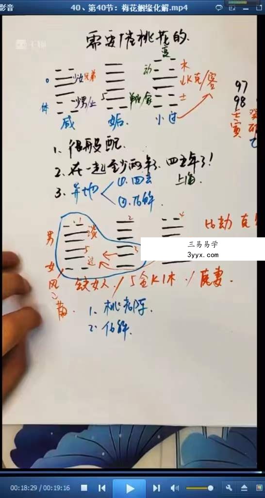 梅花五瓣开《梅花系统课》44集 资料图片