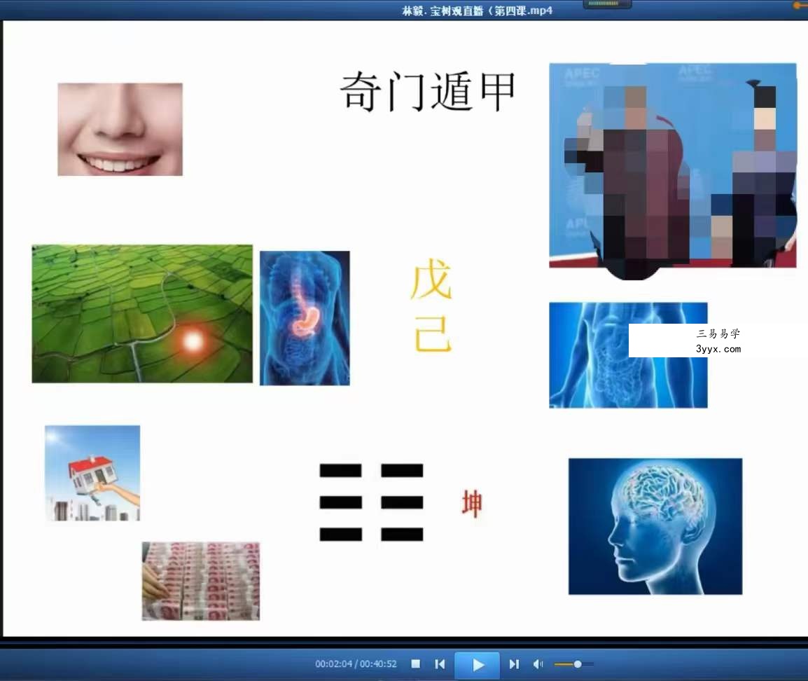 林毅 宝树观奇门存思14天打卡修习营 资料图片