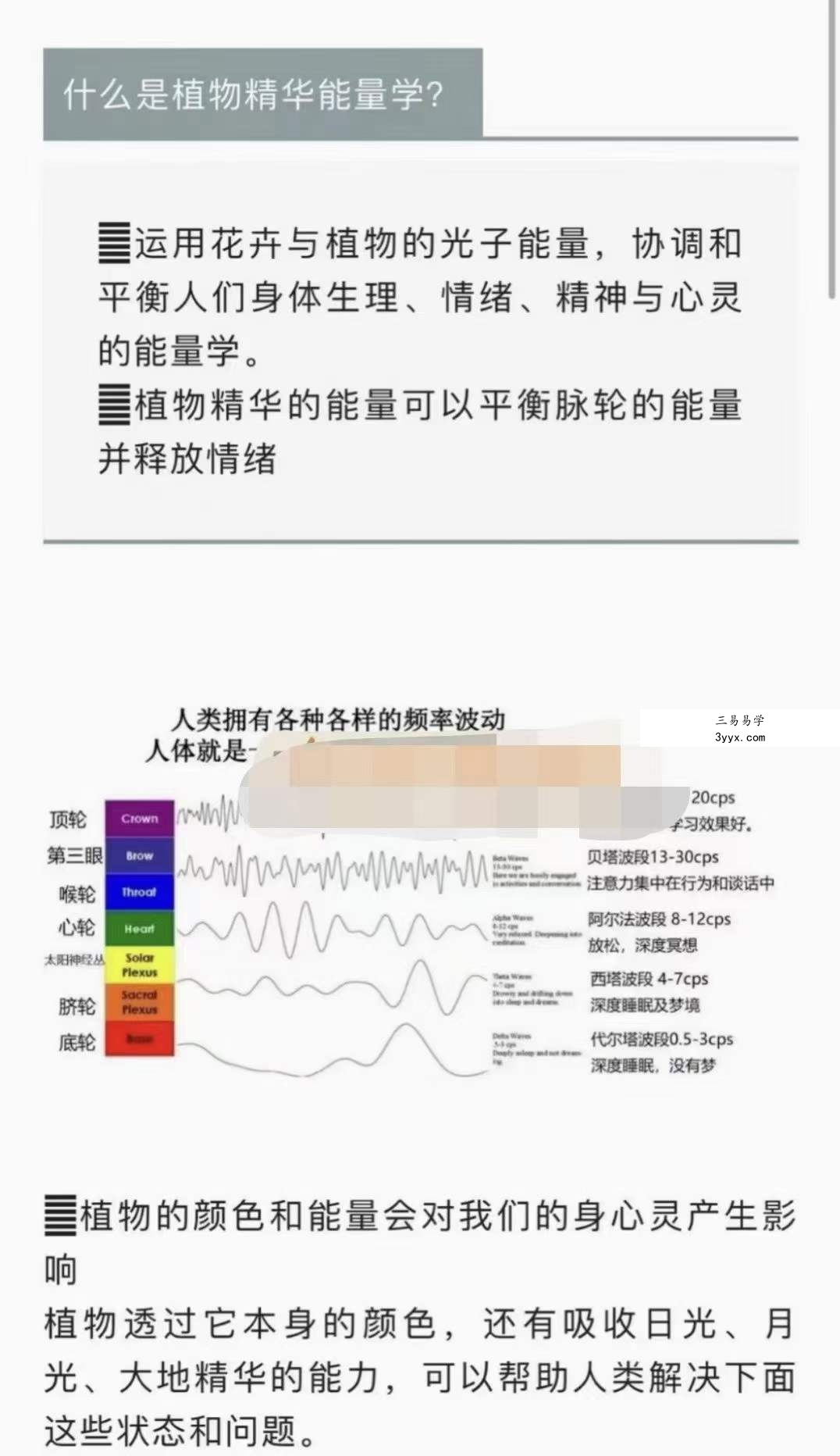 2022年8月植物精华能量学初级工作坊 10集 资料图片