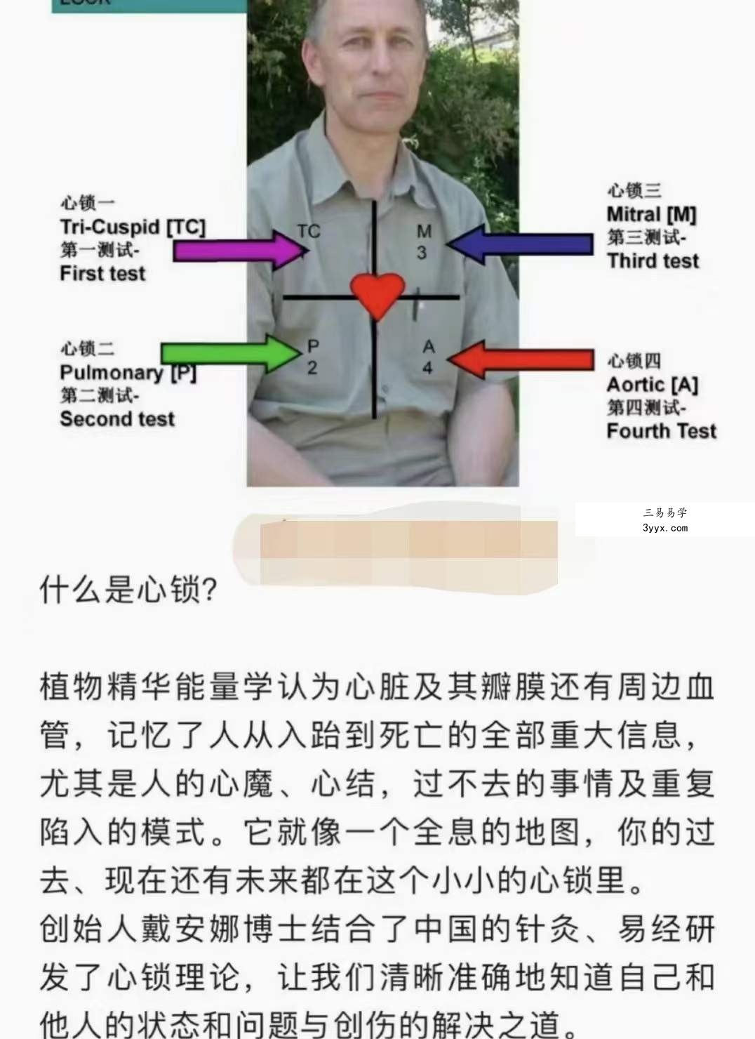 2022年8月植物精华能量学初级工作坊 10集 资料图片