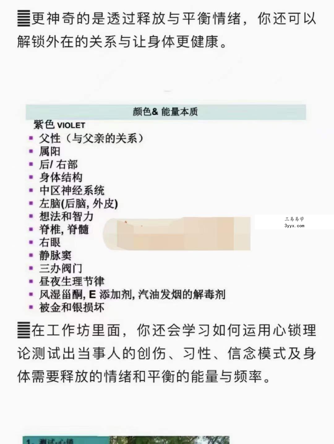 2022年8月植物精华能量学初级工作坊 10集 资料图片