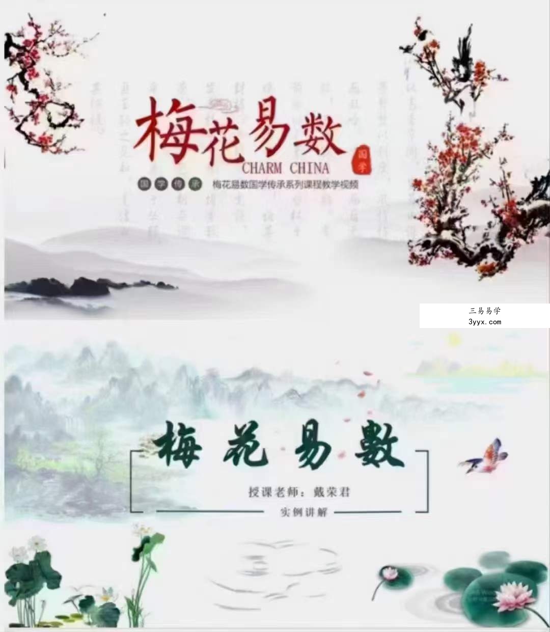 戴荣君【梅花易数-八卦梅花术系统课程】89集 资料图片
