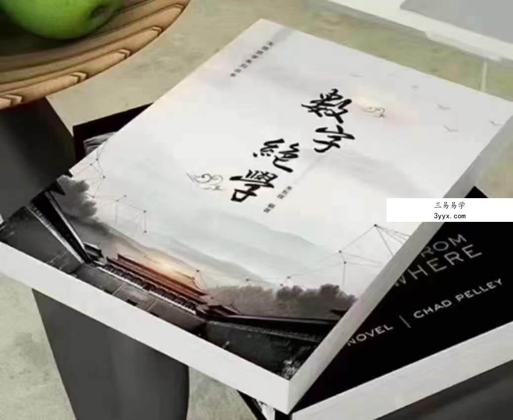朱东辉《数字绝学》电子书256页 资料图片
