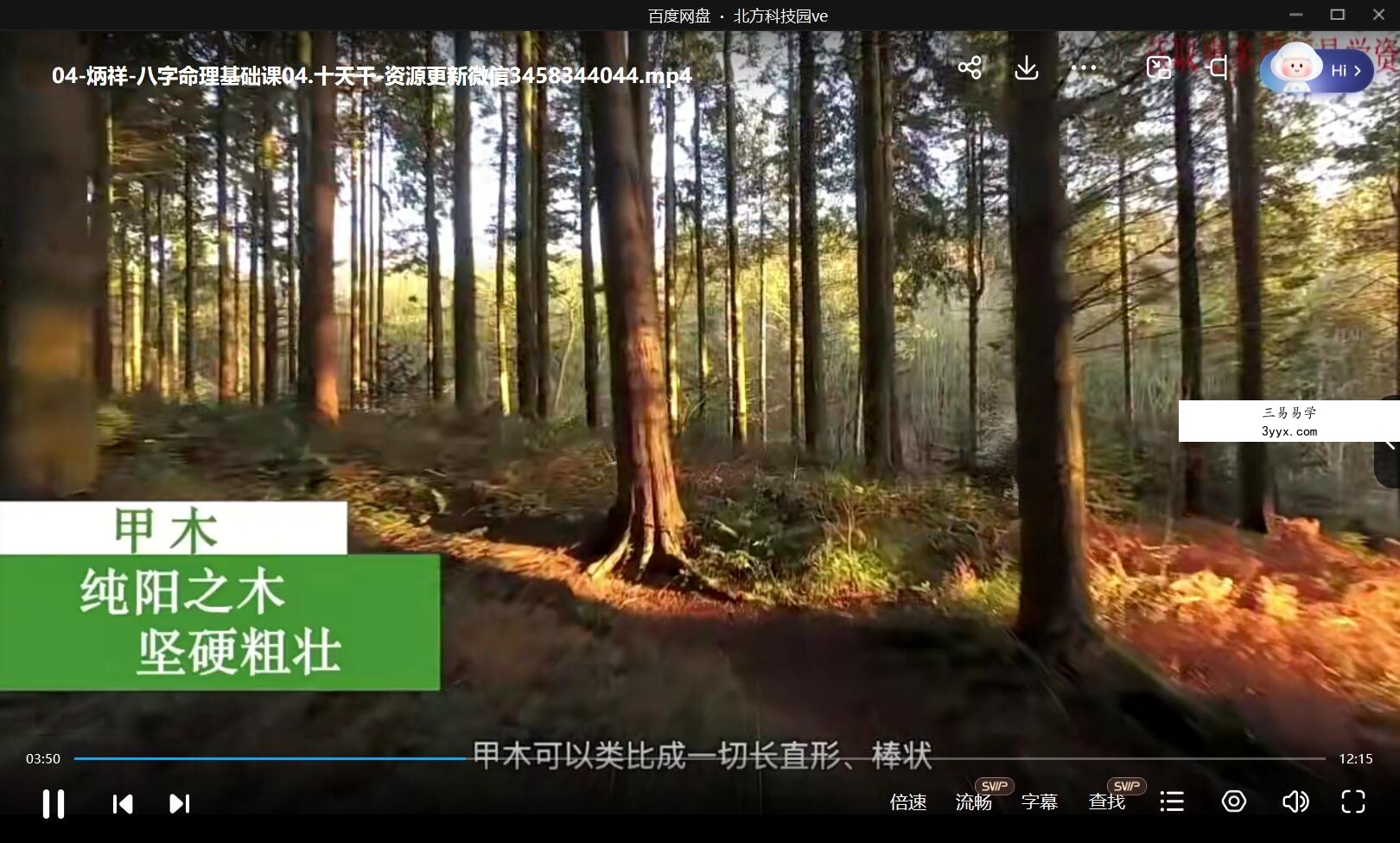 炳祥 2021问真八字命理基础课 资料图片