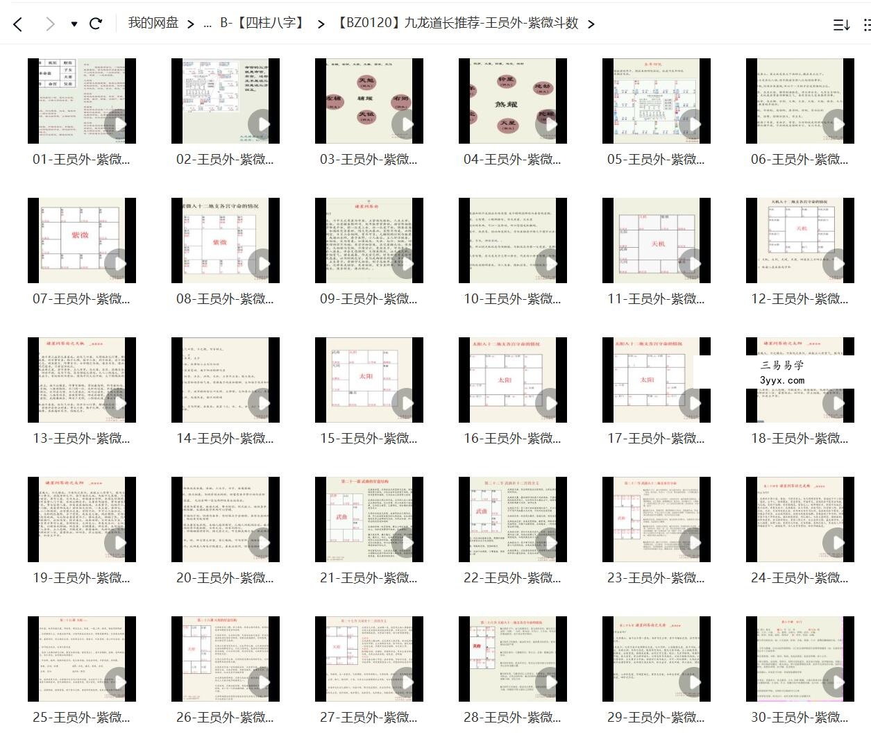 九龙道长推荐 王员外 紫微斗数课程40集视频 资料图片