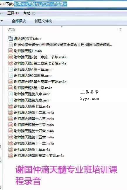 谢国仲滴天髓专业班培训课程录音 资料图片