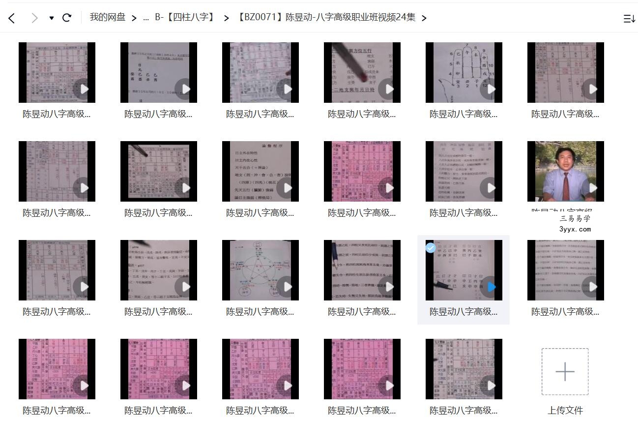 陈昱动 八字高级职业班视频24集 资料图片