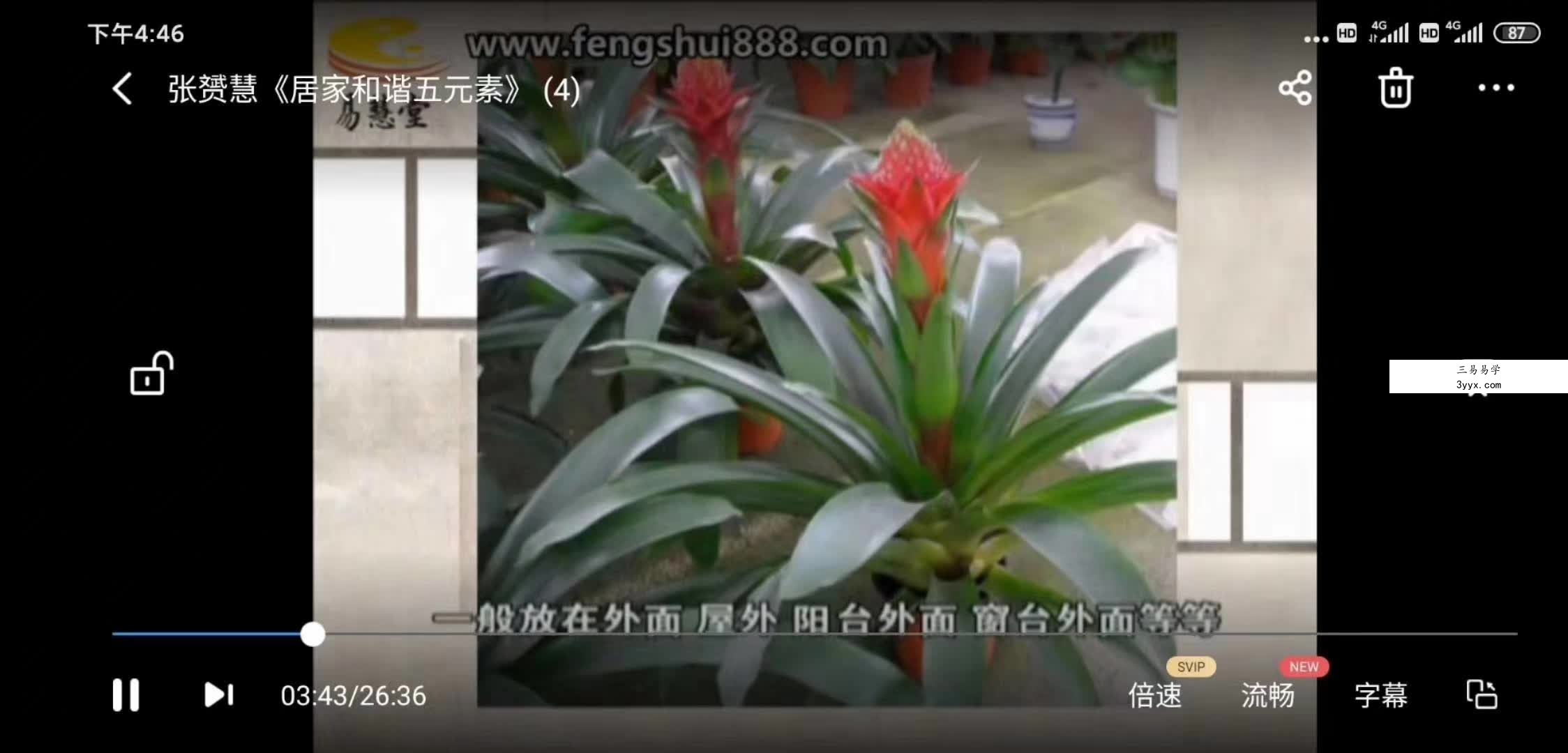 张赟慧 居家和谐五元素 资料图片