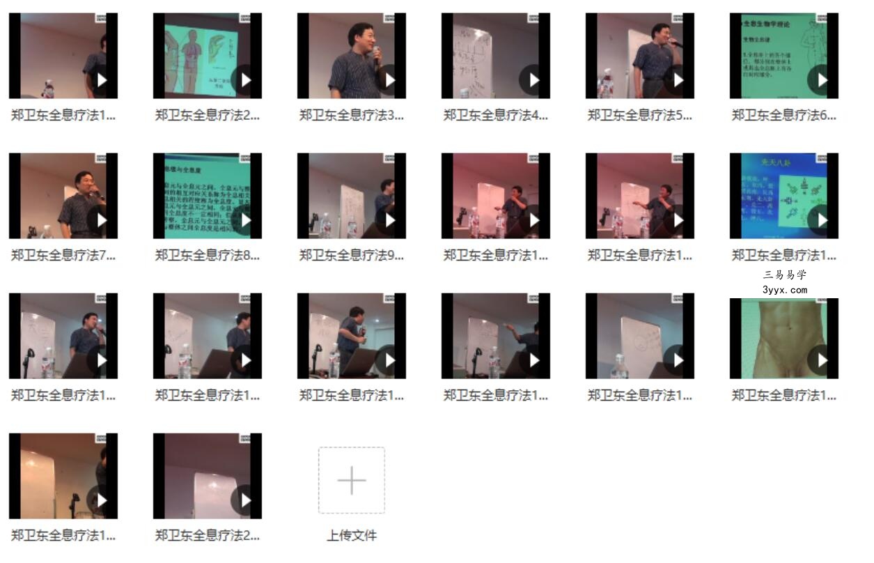 郑卫东 全息疗法课程三套视频 资料图片