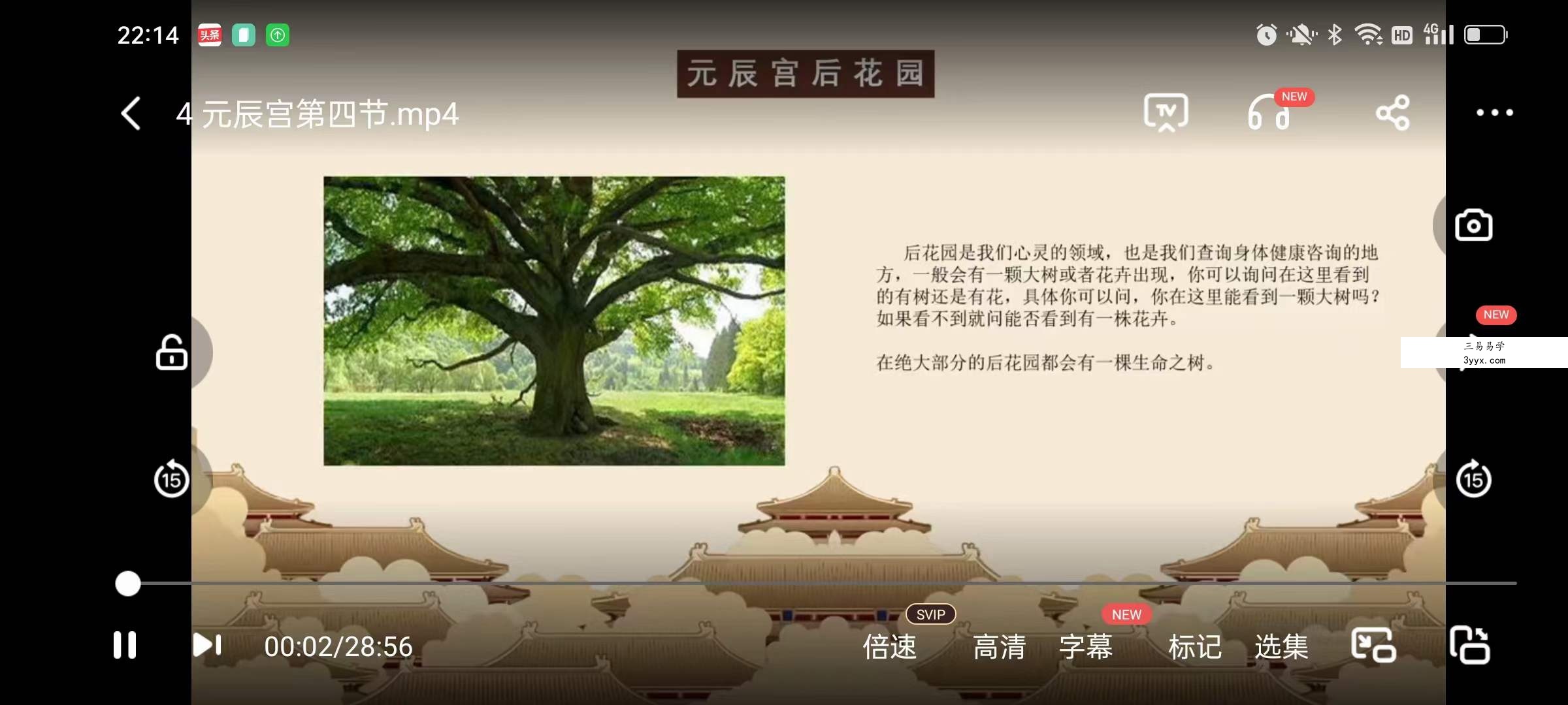 宣法道人 元辰宫前世回溯改运术10集 资料图片