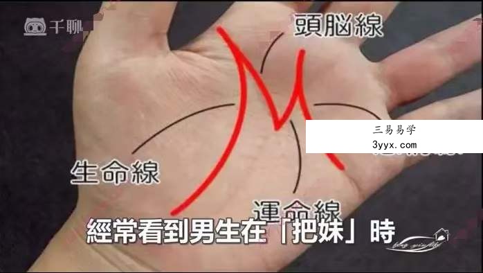 传统手相结合西方占星理论47集 零基础入门到精通 真人案例 资料图片